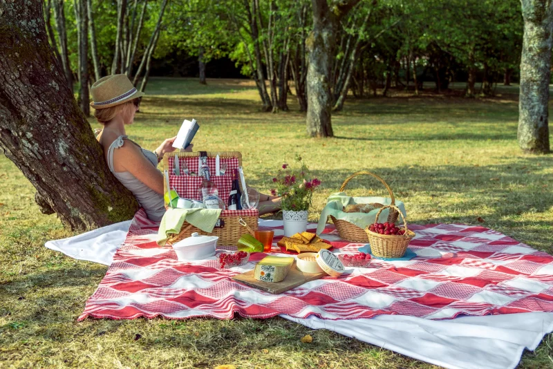 Fantastic Picnic  "Cueillir l'instant"
