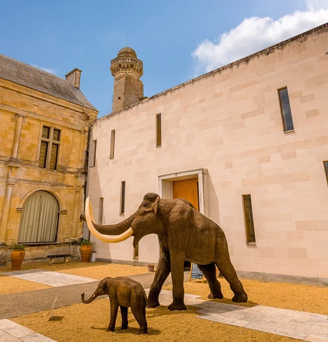 Musée de la Préhistoire