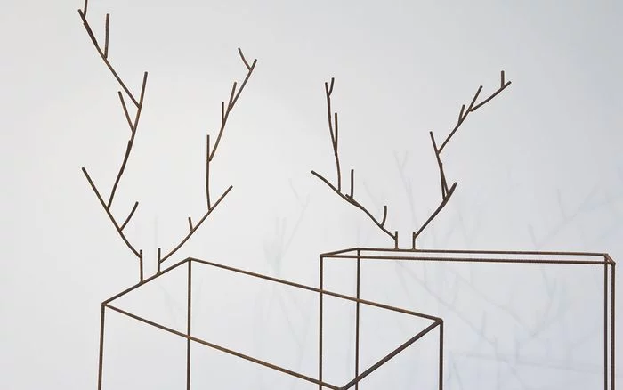 Découvrez l'exposition « Éloge du trait » dans la collection agnès b.