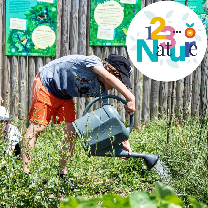 Atelier jardin - Un jardin économe en eau