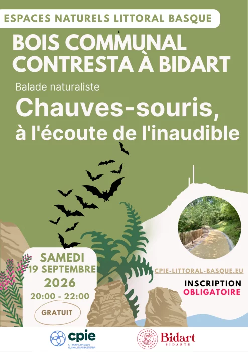 Balade naturaliste : Chauves-souris, à l'écoute de l'inaudible à Bidart - CPIE Littoral Basque