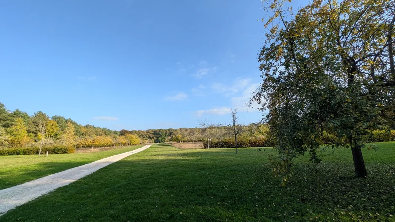 Sortie nature à Vauclair : "Arbres, fruits forestiers et cycle de la matière"