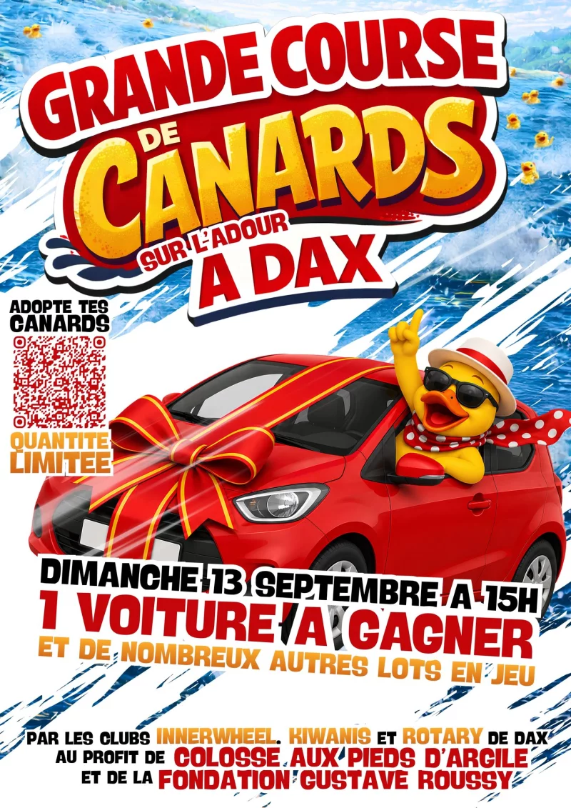 Course de canards