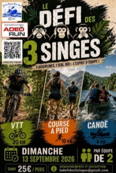 Le défi des 3 singes