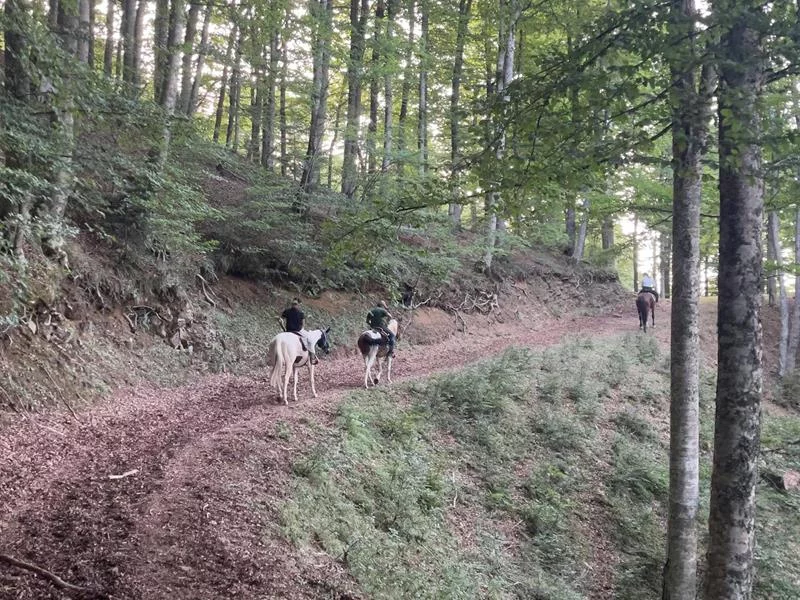 Deux journées à cheval