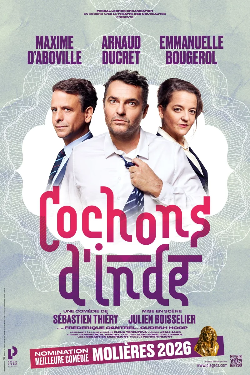 Cochons d'inde