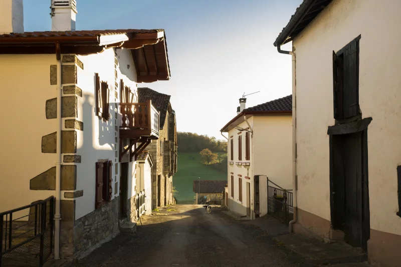 Visite guidée : L'histoire et le patrimoine d'Ostabat