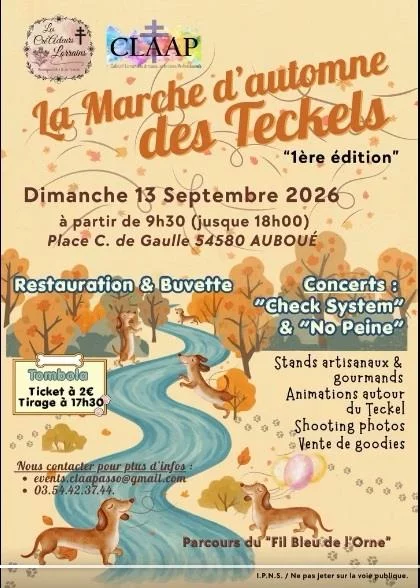 La marche d'automne des teckels