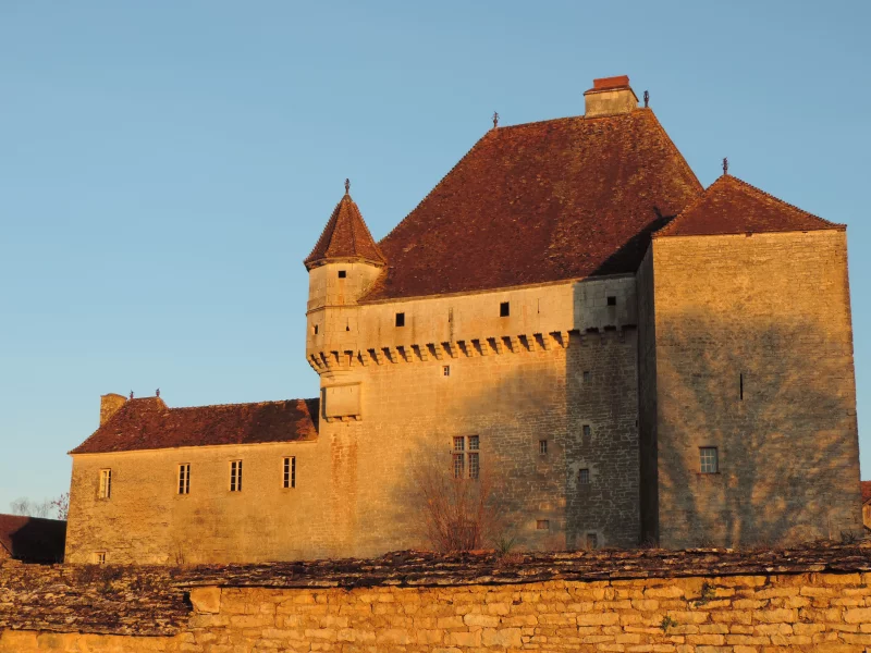 Un cadavre au Château - Spectacle interactif d'enquête