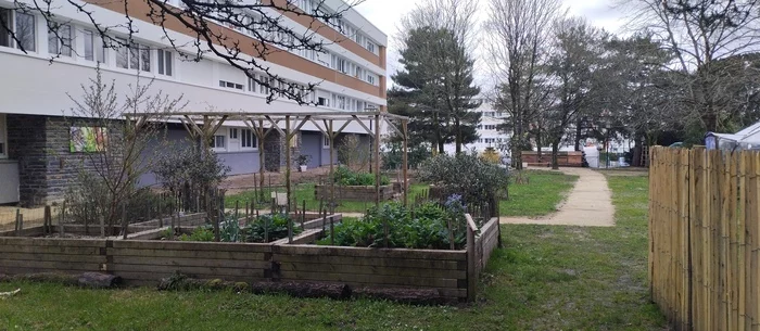 Pause café à la Petite Ferme suivi d'un atelier jardinage