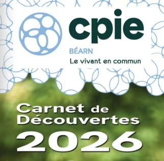 Découverte tri de la laine - Sortie CPIE