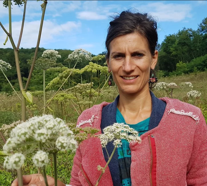 Ateliers "avec les plantes"