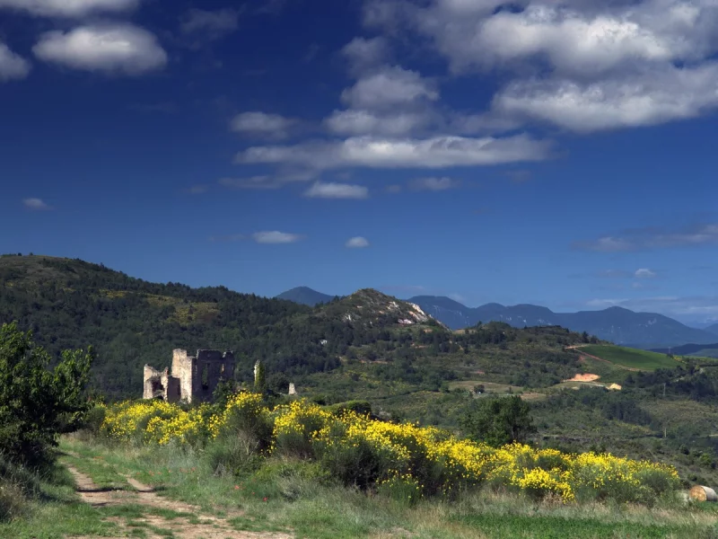 JEP 2026 - CHÂTEAU DE COUSTAUSSA