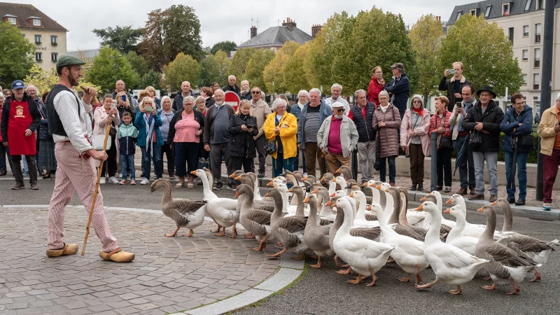 Fête des vendanges 2026
