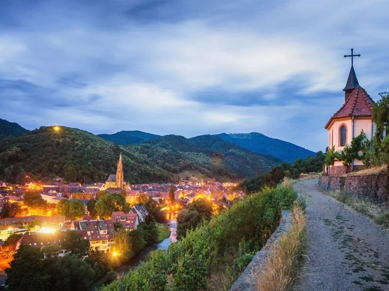 Vignobles en Scène Alsace : création de votre étiquette de vins et initiation à la dégustation