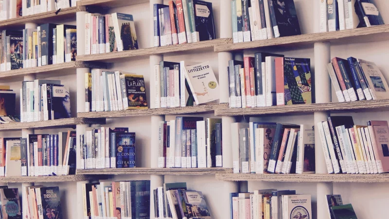 Ouverture de la bibliothèque