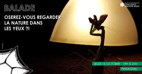 CONFÉRENCE – OSEREZ-VOUS REGARDER LA NATURE DANS LES YEUX ?!