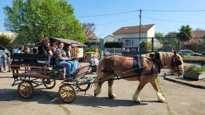 Visite guidée en calèche