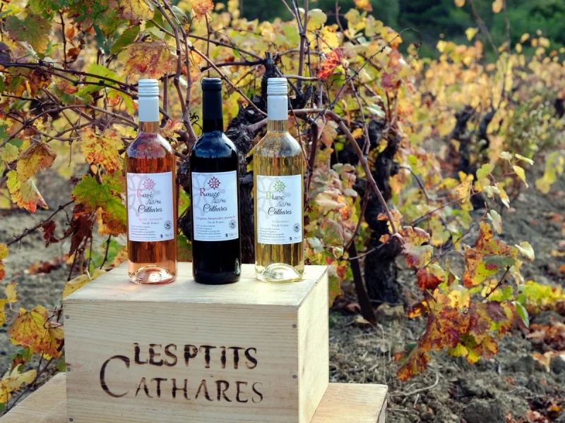 DE FERME EN FERME - LES PTITS CATHARES