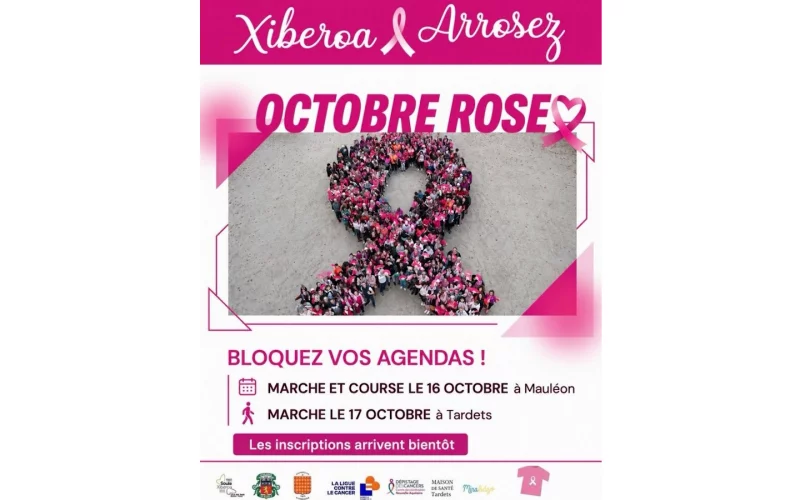 Octobre rose : marche au profit de la lutte contre le cancer du sein