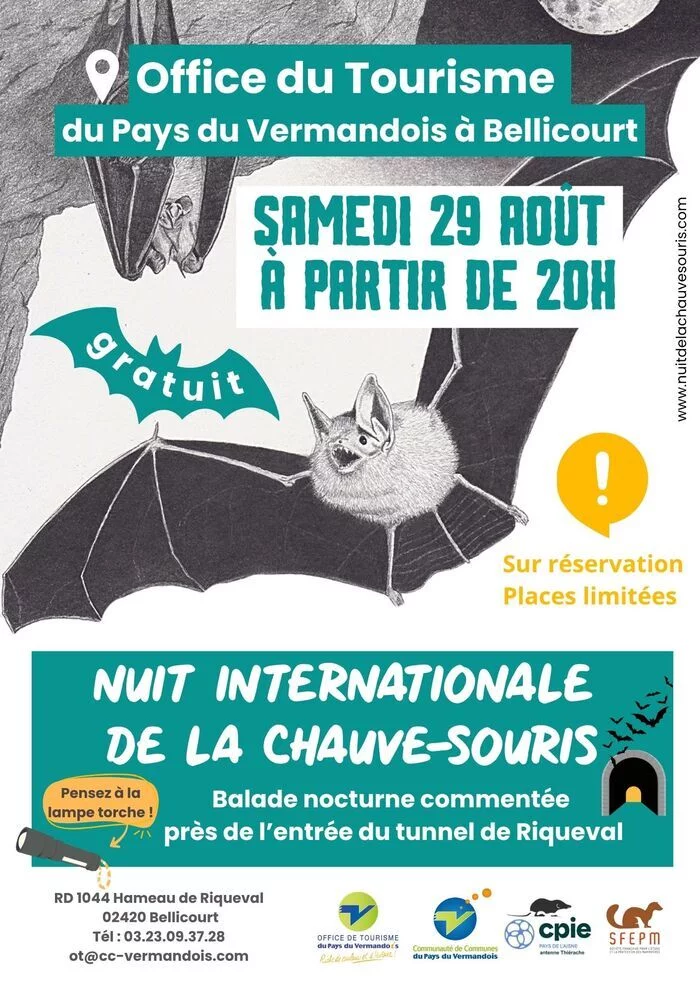 Nuit Internationale de la Chauve-Souris à Bellicourt