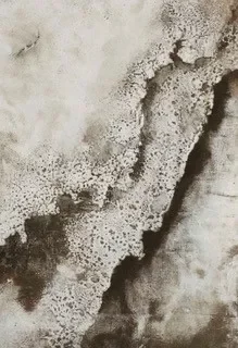 Exposition « Entre ciel et terre »