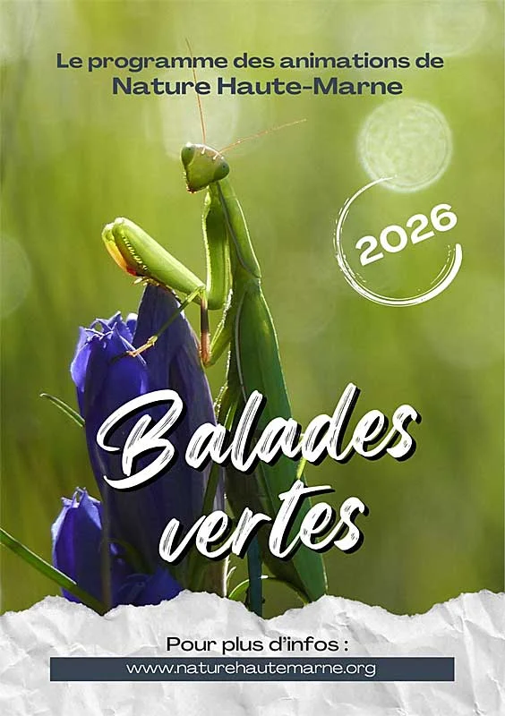 Balades Vertes en Haute-Marne : Rendez-vous avec les oiseaux migrateurs