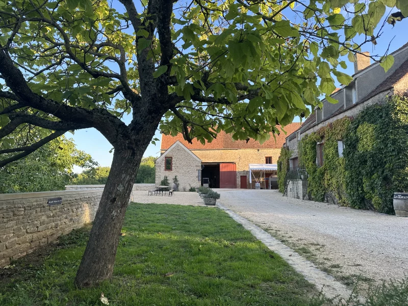 Bar à vin estival