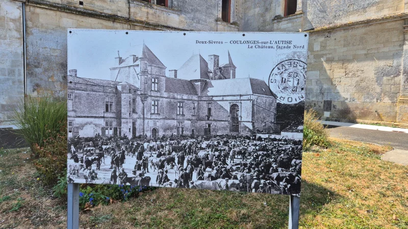 Journées européennes du patrimoine : Balade d'antan au fil des cartes postales anciennes