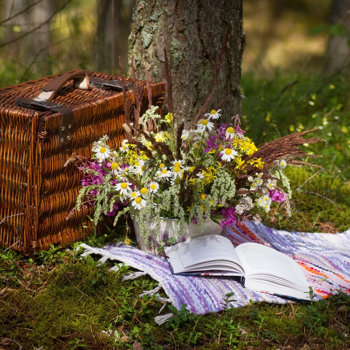 Pique-nique littéraire
