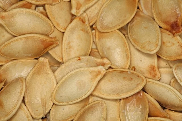 Faire ses semences de légumes et fleurs
