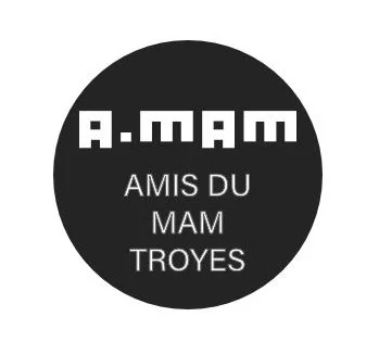 Conférence "Les avant-gardes dans les musées ou dans les collections des musées européens""