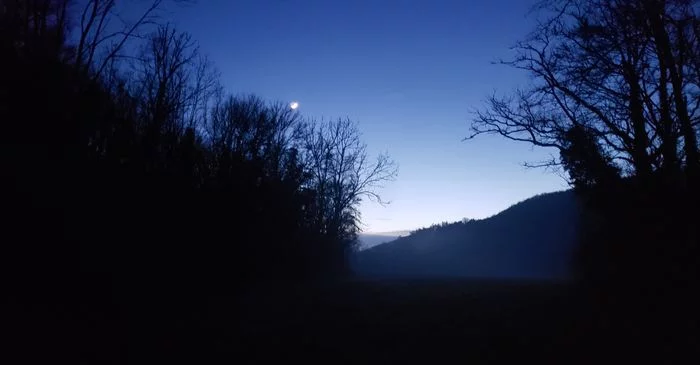 Nuit de la Chauve-souris à Villotte-Saint-Seine