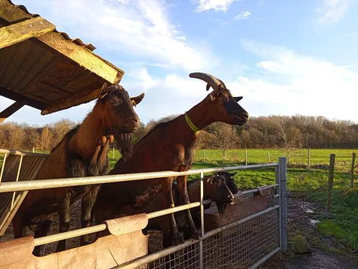 Visite de la ferme du Bois Nozay