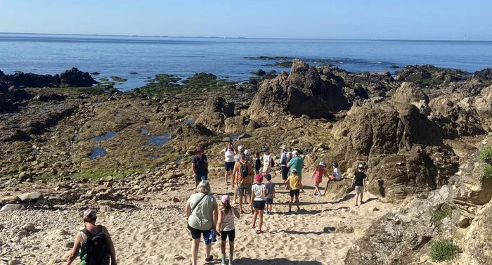 La vie à marée basse au Pouliguen