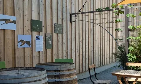 TRIPLE EXPOSITION AU MOULIN DES BRASSEURS !