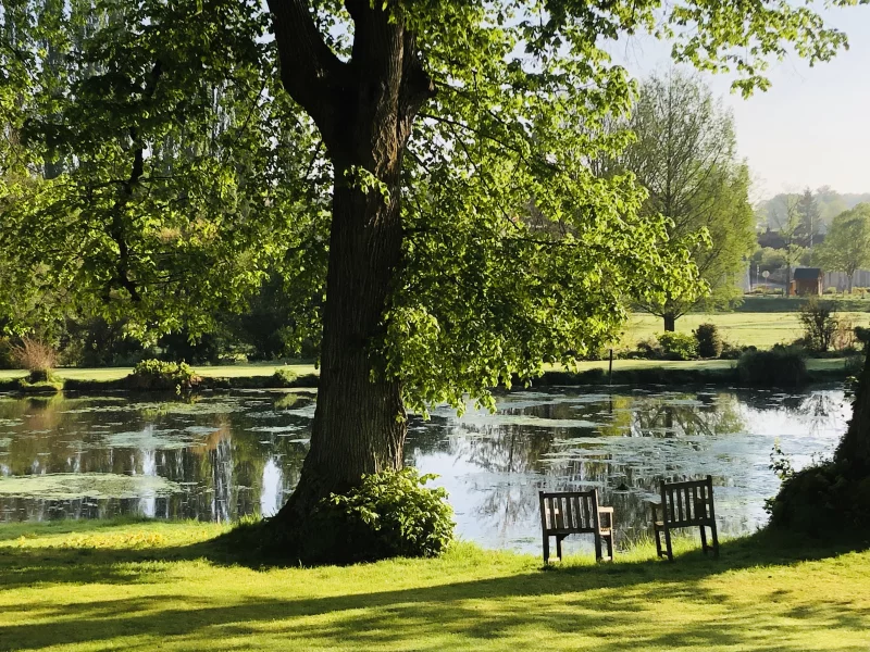 Rendez-vous aux jardins du Plessis Sasnières