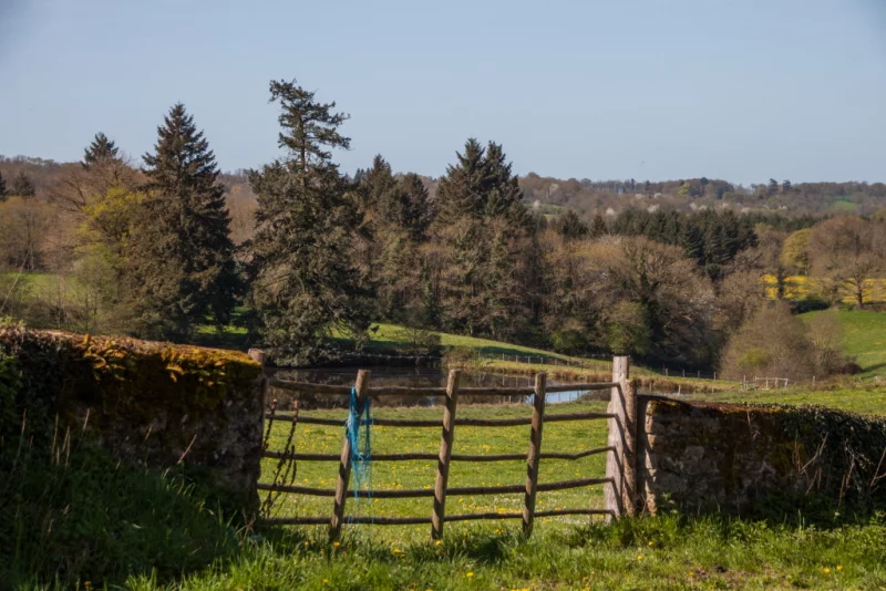 Visite commentée - paysage de mémoire, mémoire de paysage