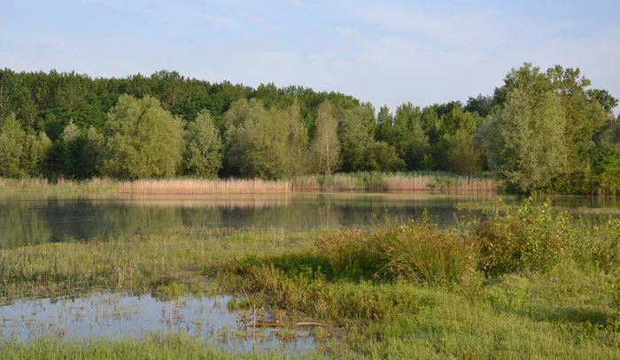 Visite de la Réserve Naturelle de l'Étang de la Mazière