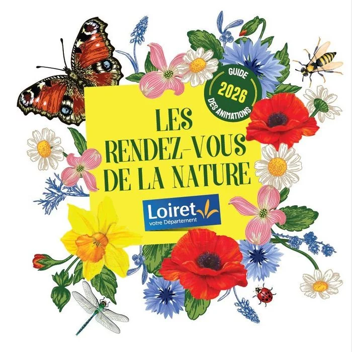 Les plantes sauvages utiles