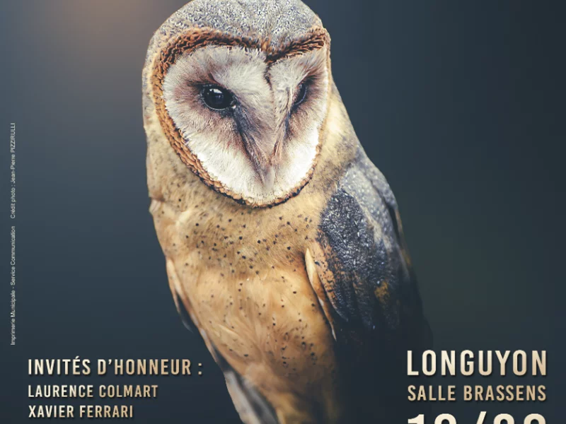 Salon de la photographie "Mille et un regards"