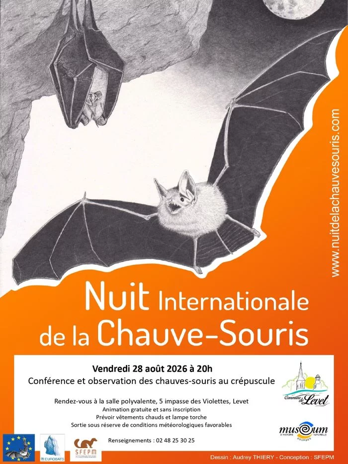 Soirée découverte des chauves-souris à Levet (18)