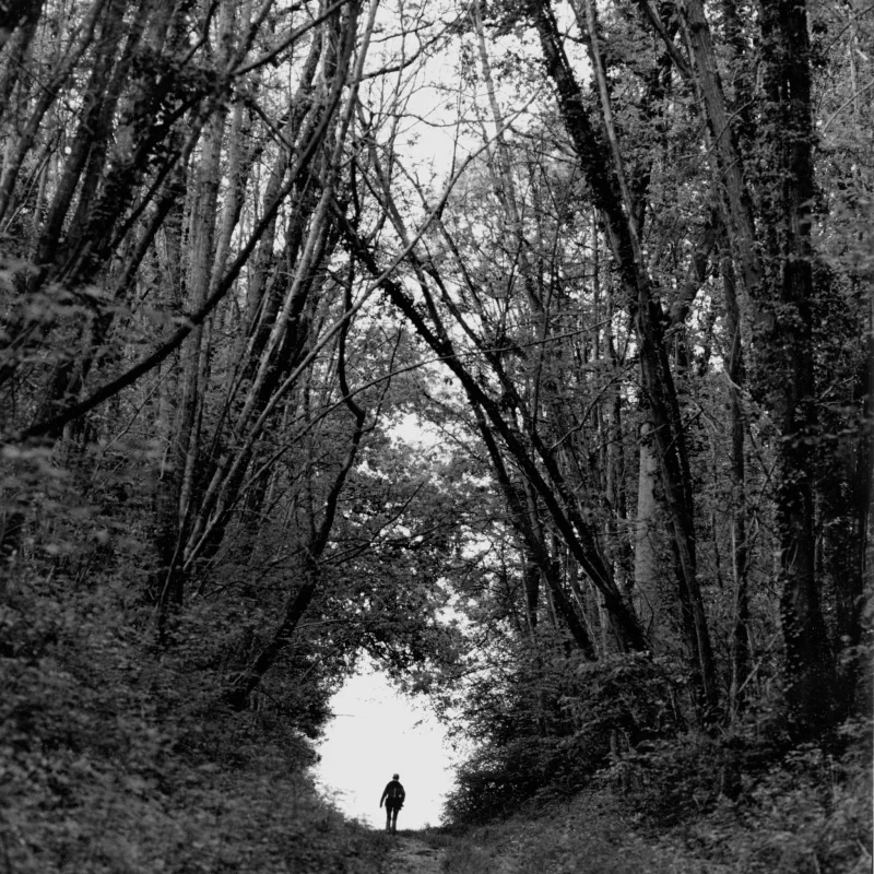 Exposition "Histoires d'hommes, de femmes et d'arbres Photographies de Bernard Descamps