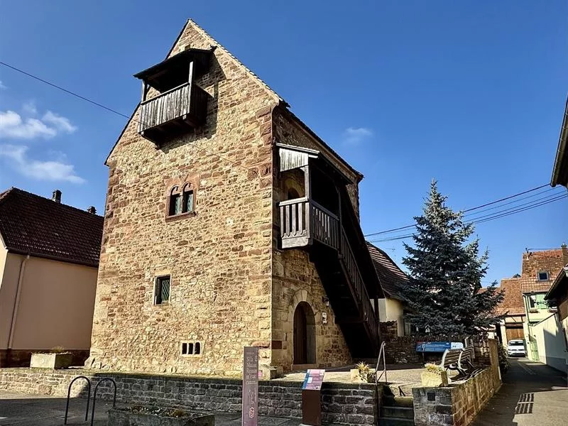 Visitez la Maison Romane