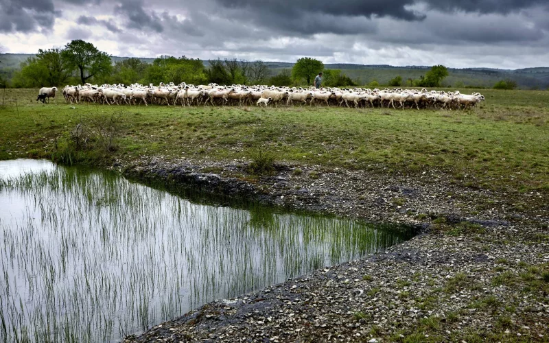 Regards croisés sur le paysage et la biodiversité du Mont Saint-Cyr