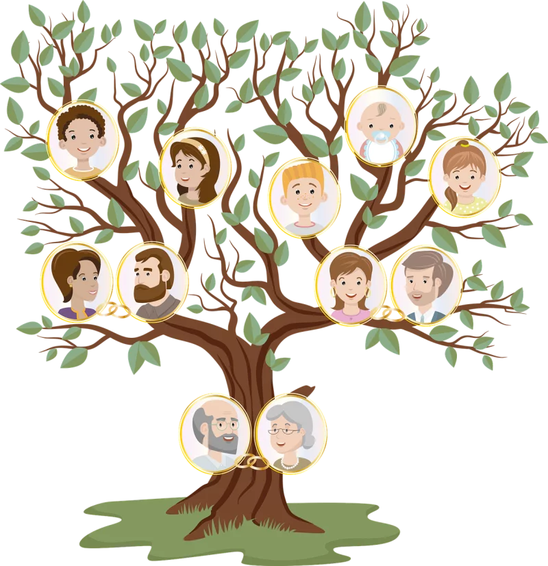 Atelier Archives Départementale : je débute ma généalogie