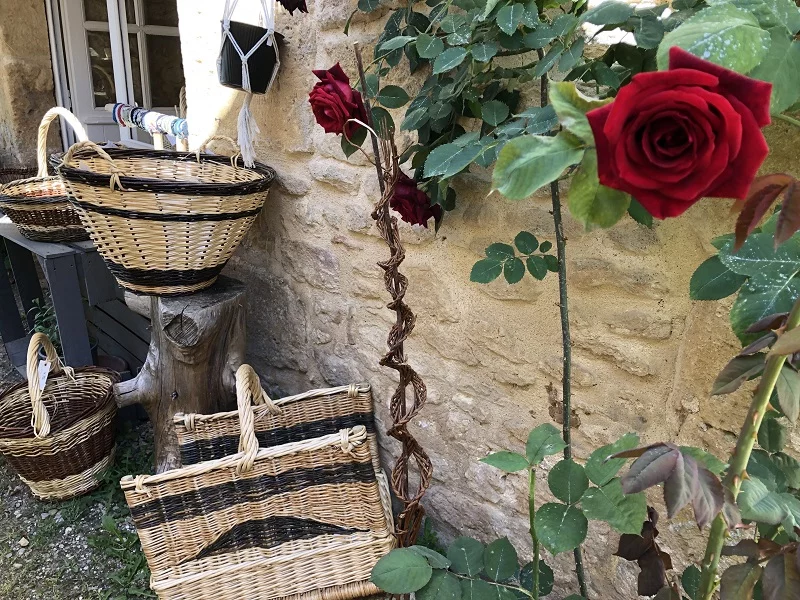 Savoir-faire au rendez-vous : osier la vie - atelier de vannerie