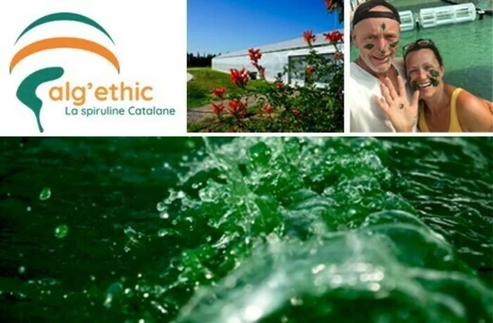 Découvrez le monde de  la spiruline à Torreilles