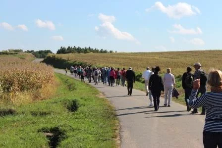 Randonnée pédestre : Sentier des écureuils