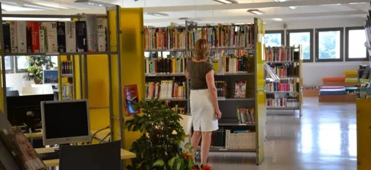 Grande expo de rentrée "La tête dans les livres" - Bibliothèque Andre-Périgord - Feytiat